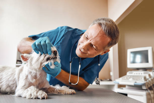Best 24-Hour Emergency Dentist in Lebanon, PA