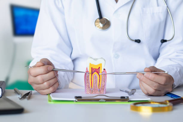 Best Emergency Gum Treatment in Lebanon, PA